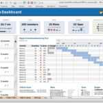 Official Trailer For Project Portfolio Dashboard With Regard To Portfolio Management Reporting Templates