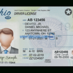 Ohio Driver License Psd Template Throughout Blank Drivers License Template