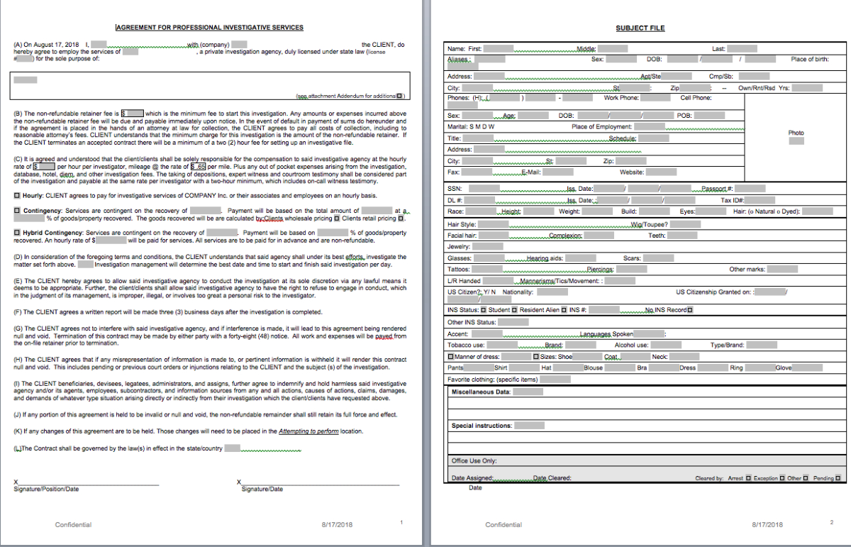 Private Investigator Surveillance Report Template