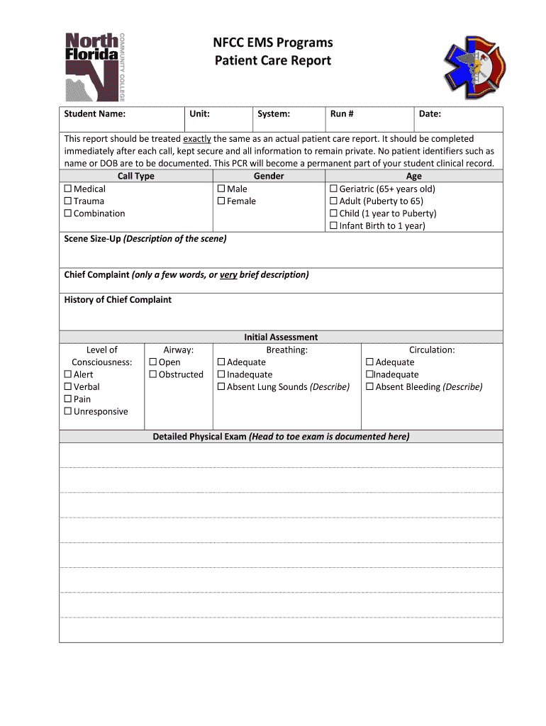 Patient Care Report - Fill Online, Printable, Fillable For Patient Care Report Template