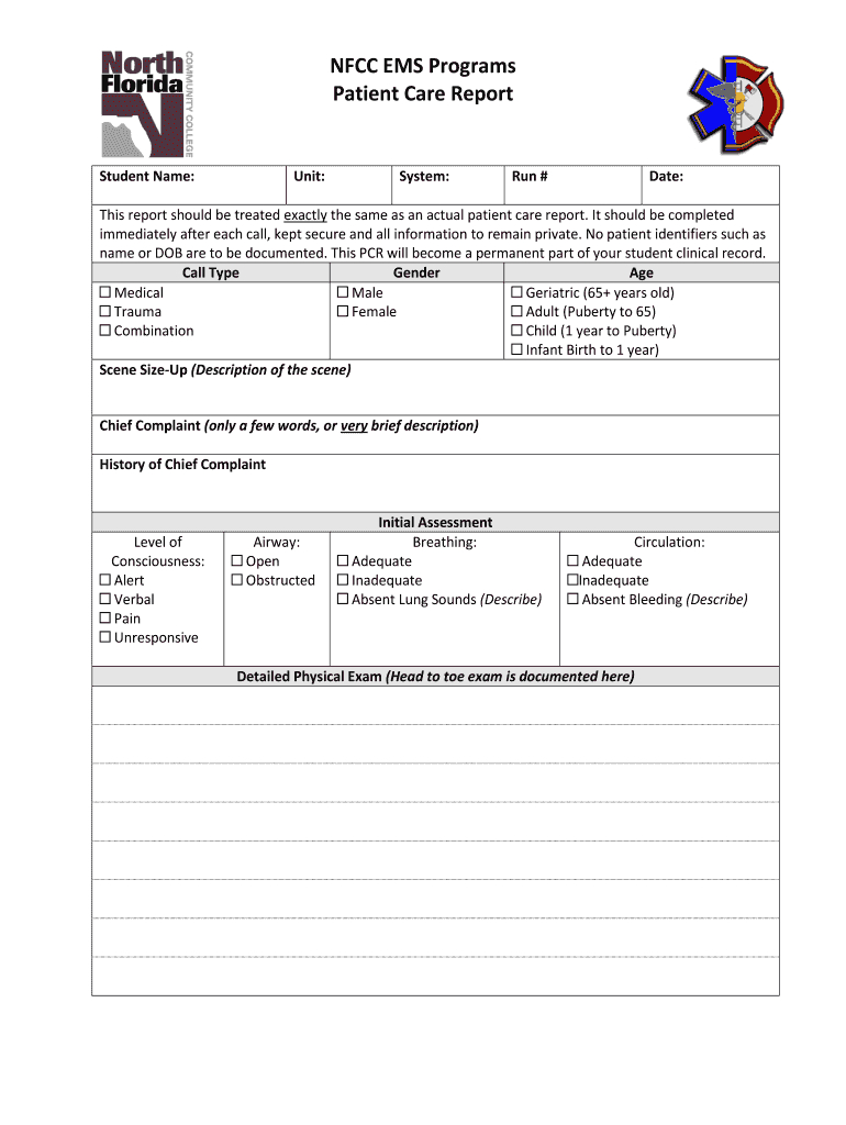 Patient Care Report – Fill Online, Printable, Fillable For Patient Care Report Template