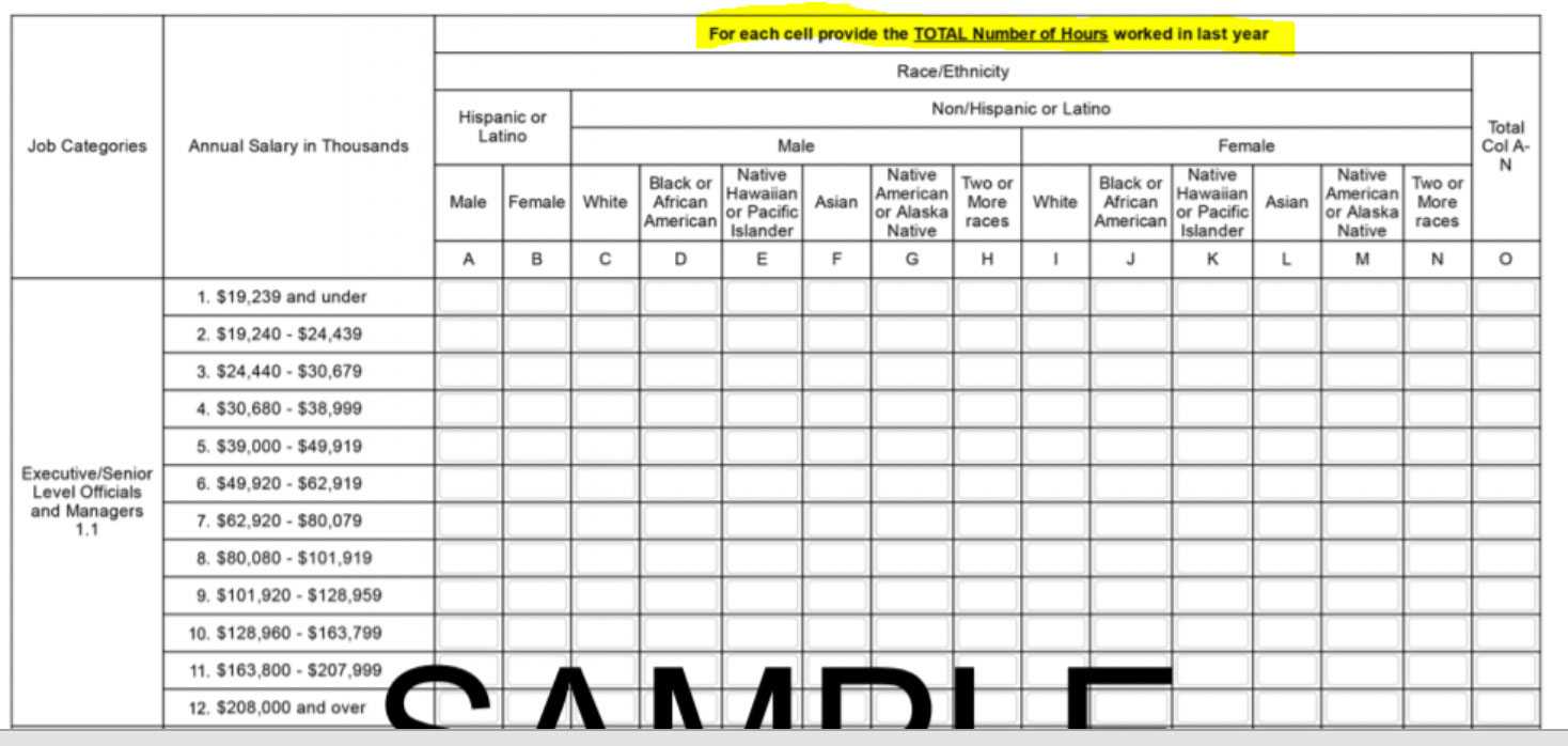 Eeo 1 Report Template Sample Design Templates