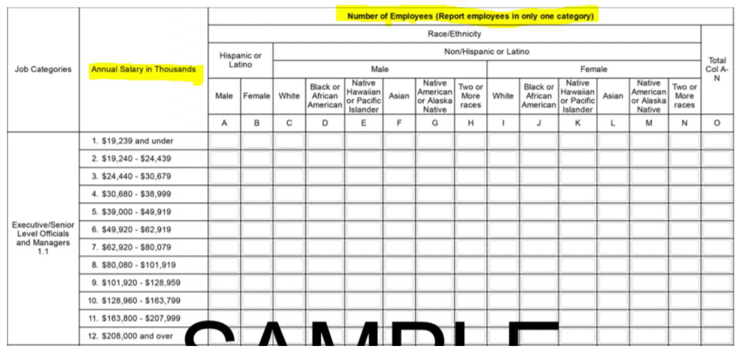 Eeo 1 Report Template Sample Design Templates