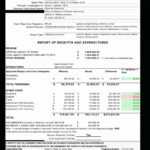 Printable Grant Financial Report Template Best Of with Fundraising Report Template