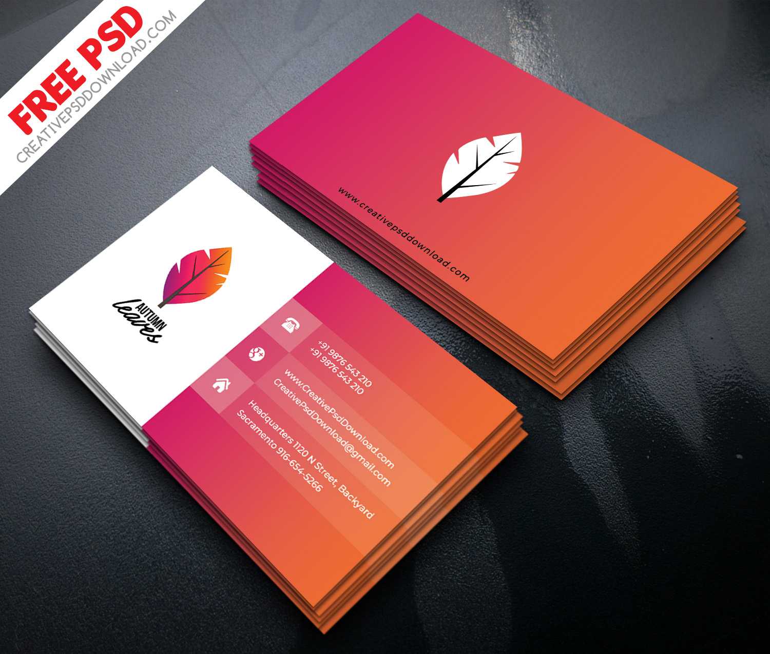 Professional Business Card Psd Free Download With Regard To Blank Business Card Template Psd