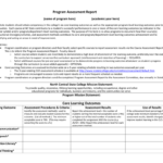 Program Assessment Report Template Inside Data Quality Assessment Report Template