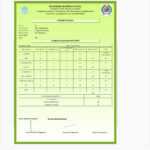 Report Card Generator Software, Student Report Card With Regard To Fake College Report Card Template