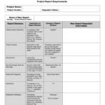 Report Requirements Template intended for Report Requirements Template