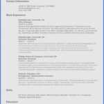 Resume Templates For Ms Word 2010 – Resume Sample : Resume Intended For Resume Templates Word 2010