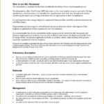 Risk Management Report Template Intended For It Management Report Template