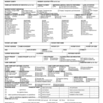 Run Report Ems – Fill Online, Printable, Fillable, Blank Pertaining To Patient Care Report Template
