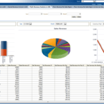 Sample Item Analysis Report ] – Sample Apperson Datalink Throughout Sales Analysis Report Template