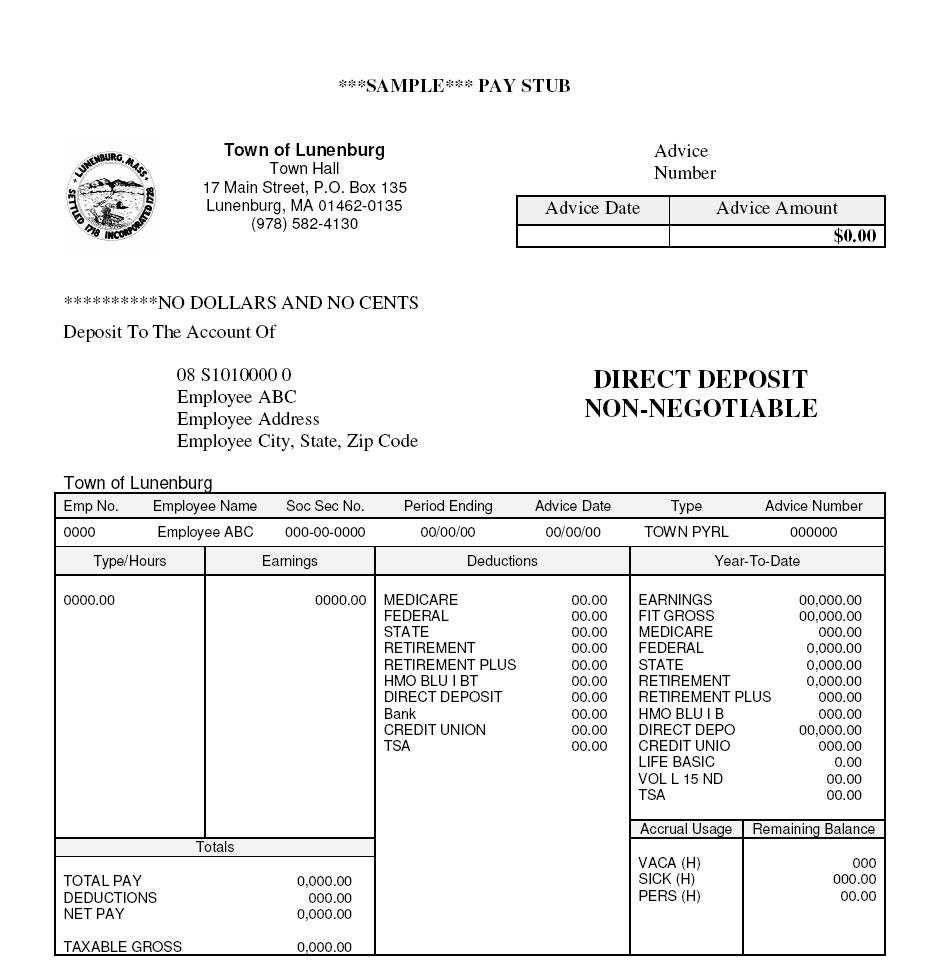 Simple Pay Stub Template Document Sample : V M D In Blank Pay Stub Template Word