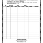 Spreadsheet Diabetes Tracking Blood Glucose Log Book Free Throughout Book Report Template In Spanish