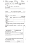 State Of Michigan Uniform Law Citation – Fill Online In Blank Parking Ticket Template