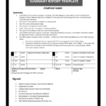 Summary Report Template Pertaining To Company Analysis Report Template