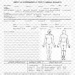 Template Autopsy Microsoft Word Report Résumé, Png Pertaining To Autopsy Report Template