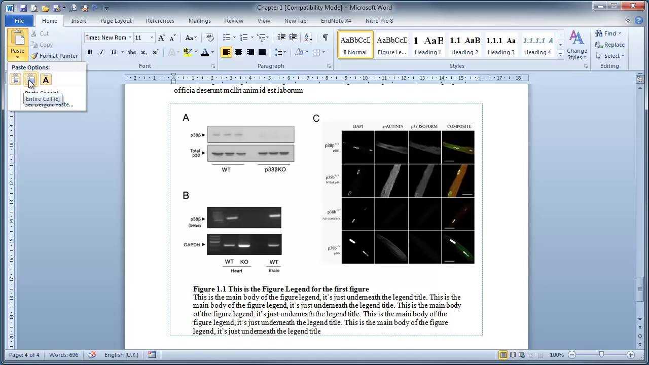 Thesis Writing In Microsoft Word : Inserting Figures And Legends Intended For Ms Word Thesis Template