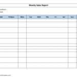 Weekly Sales Activity Report Template Sample Excel Format Intended For Daily Sales Report Template Excel Free