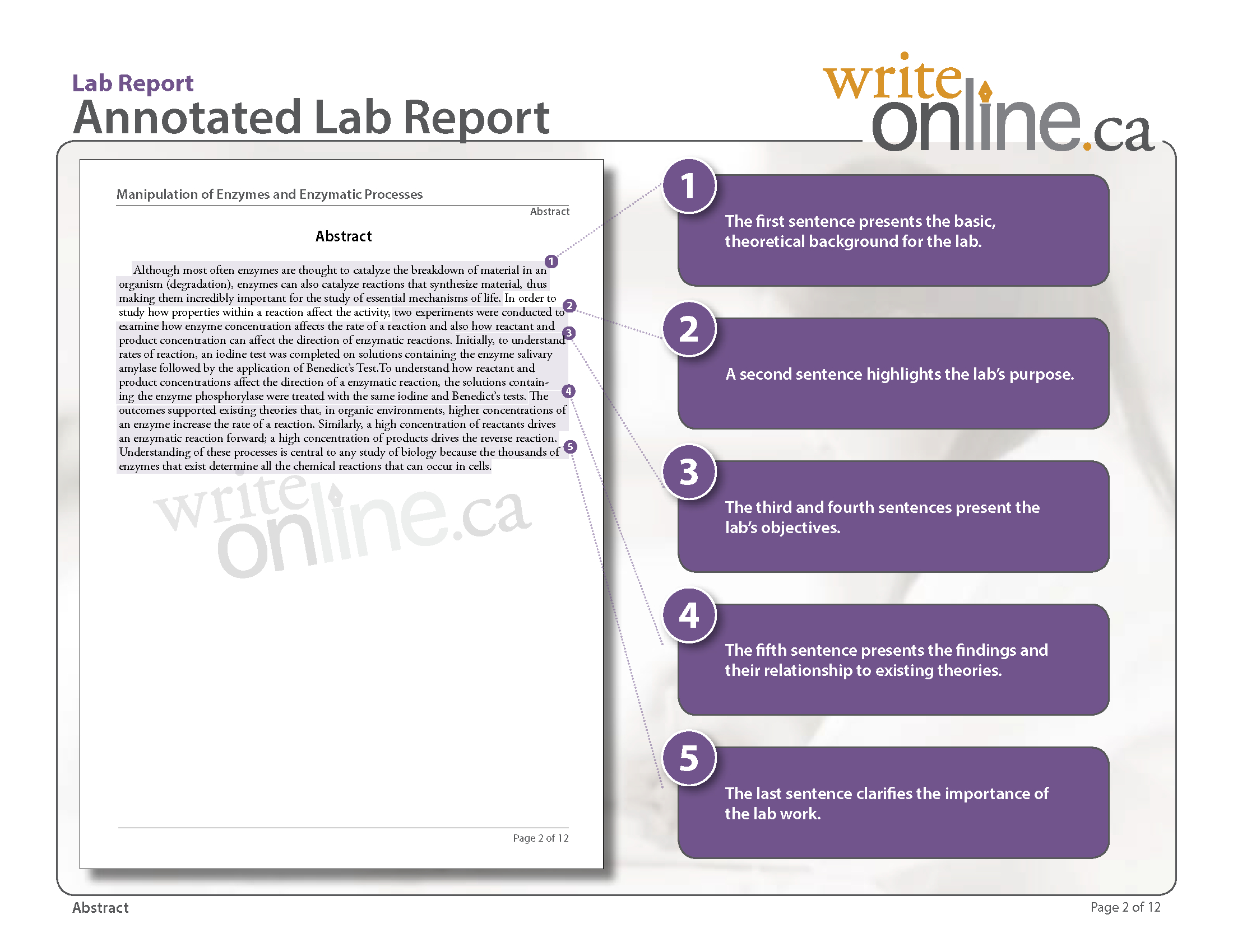 Write Online: Lab Report Writing Guide – Parts Of A Lab Report Intended For Lab Report Template Middle School